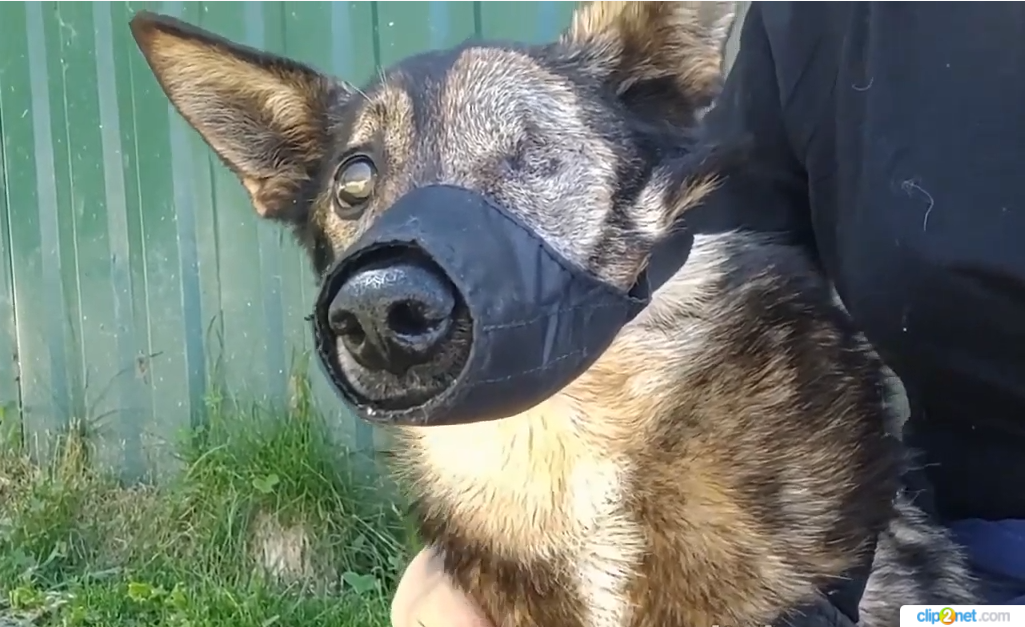 "...лучше бы на эти деньги вы помогали бы детскому дому..."