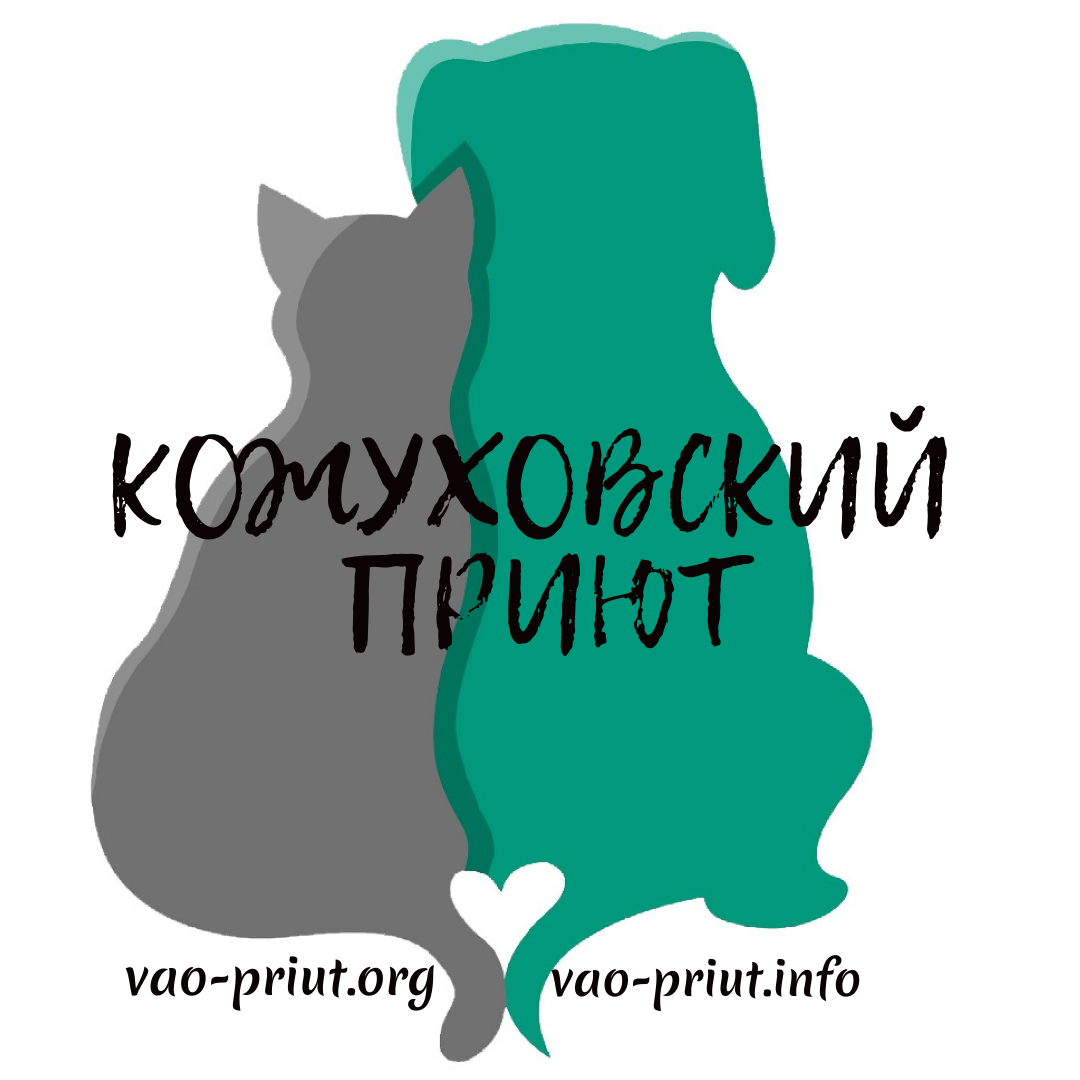 Самые свежие комментарии на новом сайте vao-priut.info